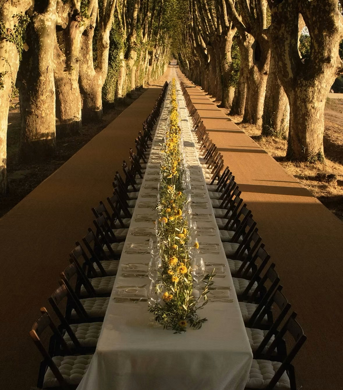 Long table under the trees